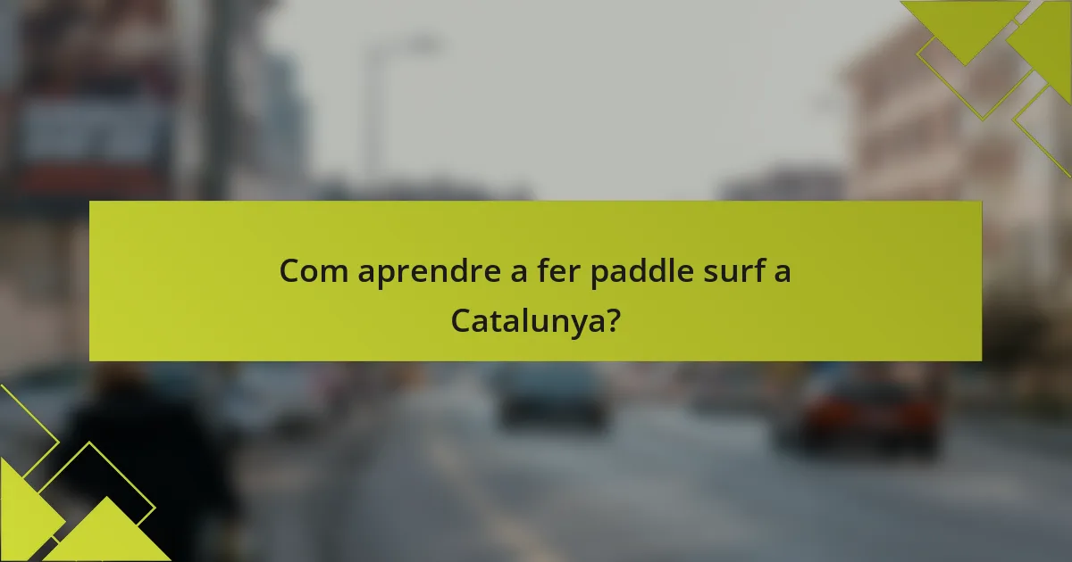 Com aprendre a fer paddle surf a Catalunya?