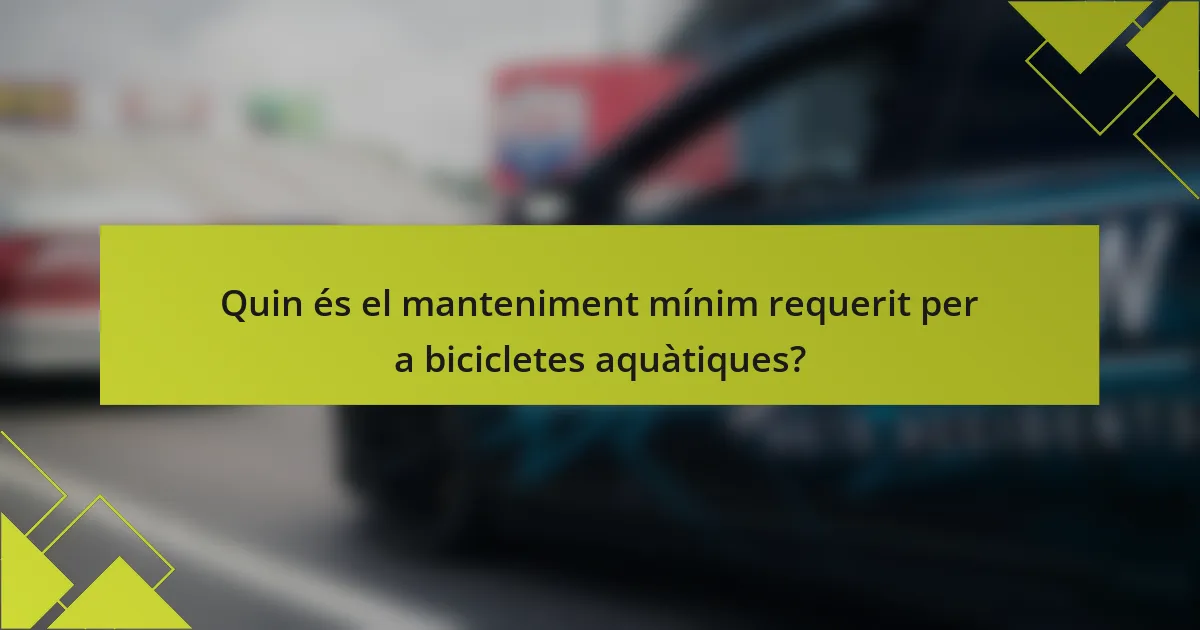 Quin és el manteniment mínim requerit per a bicicletes aquàtiques?