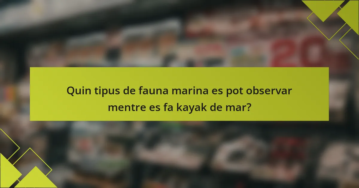 Quin tipus de fauna marina es pot observar mentre es fa kayak de mar?