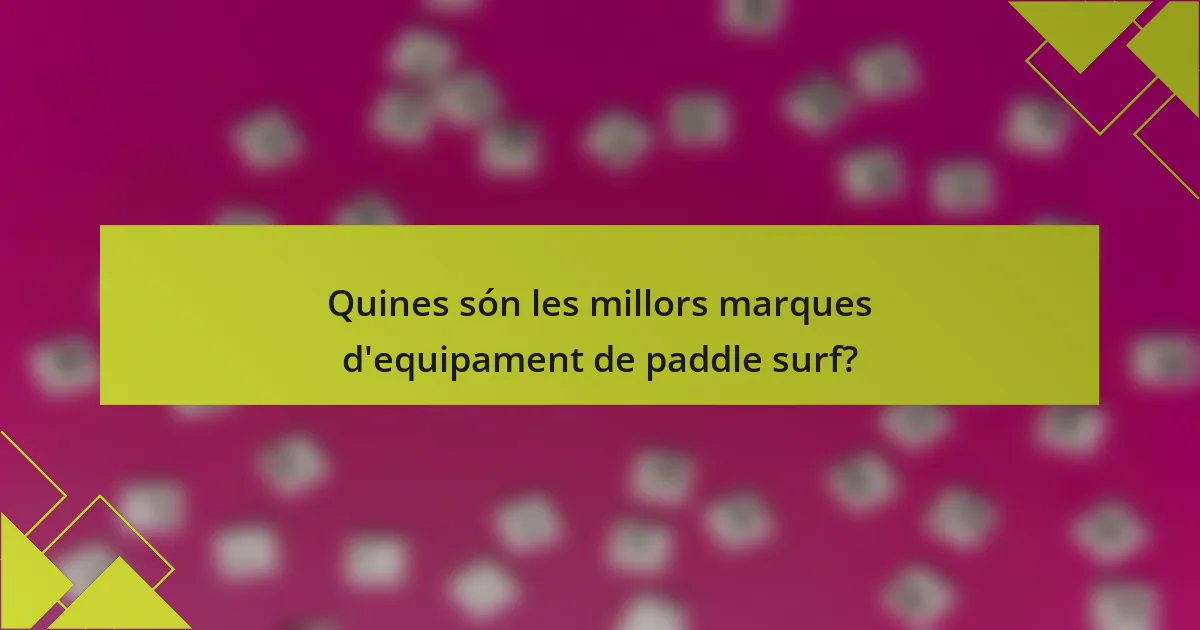 Quines són les millors marques d'equipament de paddle surf?