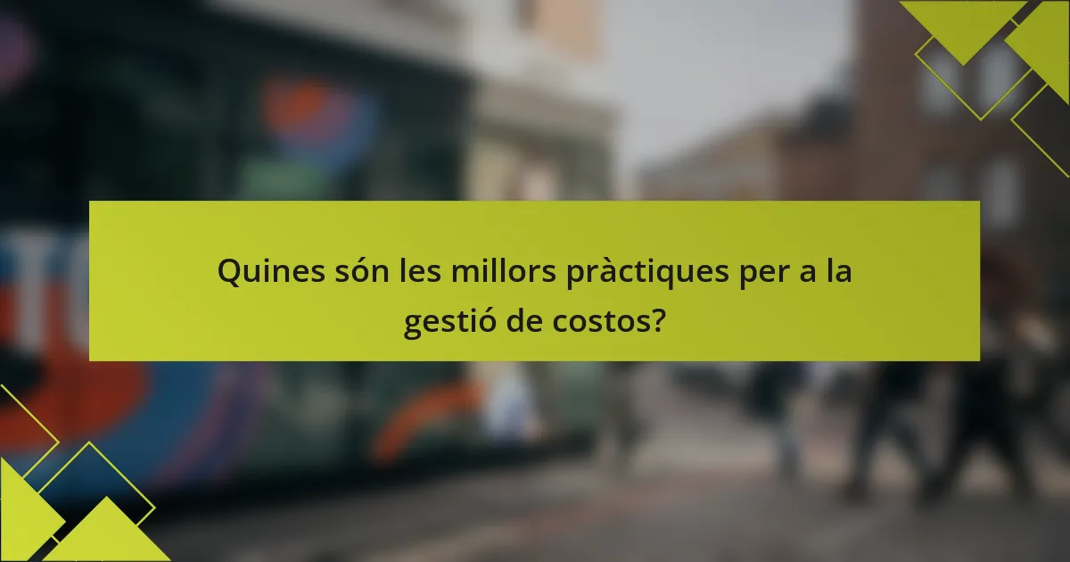 Quines són les millors pràctiques per a la gestió de costos?