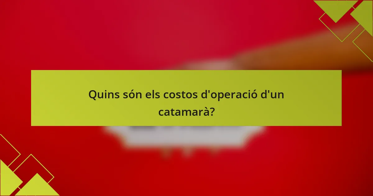 Quins són els costos d'operació d'un catamarà?