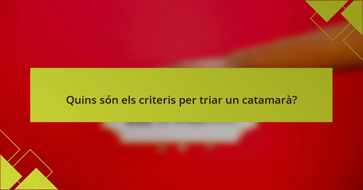 Quins són els criteris per triar un catamarà?