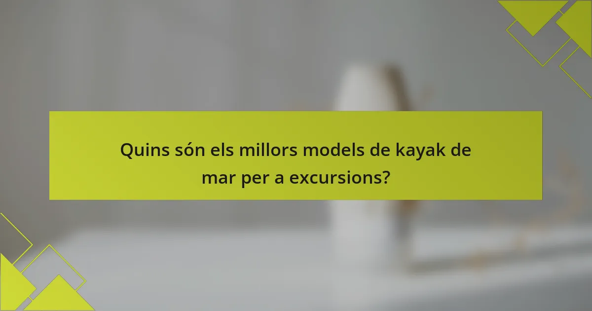 Quins són els millors models de kayak de mar per a excursions?